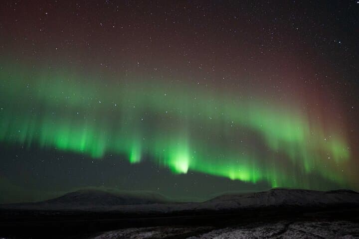 Reykjavik Northern Lights Small-Group Night Tour: Where to Watch Aurora from the City photo 6