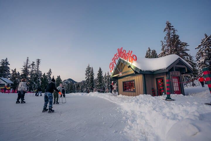 Vancouver Night Tour: Capilano Suspension Bridge & Grouse Mountain Dinner photo 4