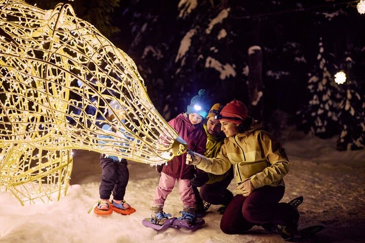 Vancouver Night Tour: Capilano Suspension Bridge & Grouse Mountain Dinner photo 2