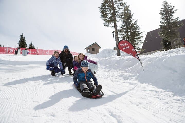 Grouse Mountain Express: Peak Chairlift, Wildlife Refuge & Mountain Activities photo 5