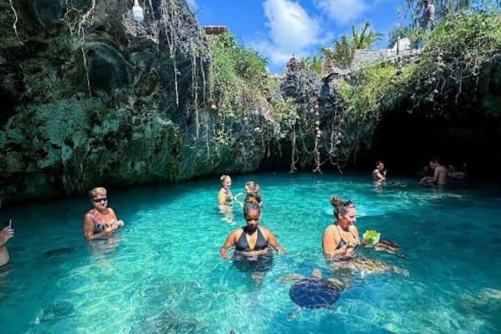 Zanzibar Day Trip: Prison Island, Jozani Forest & Swim with Sea Turtles photo 1
