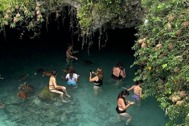 Zanzibar Day Trip: Prison Island, Jozani Forest & Swim with Sea Turtles photo 4