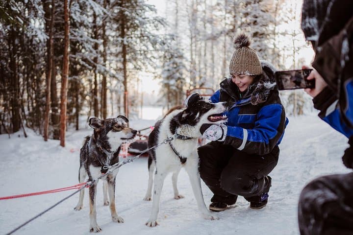 Husky Forest Escape: 10km Self-Drive Husky Safari Near Rovaniemi photo 4