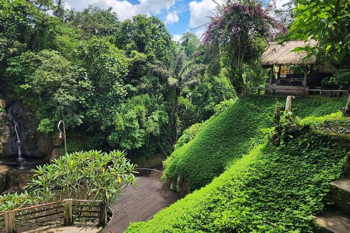 Ubud Hidden Gems: River Walk, Sumampan Waterfall & Cliffside Lunch photo 4