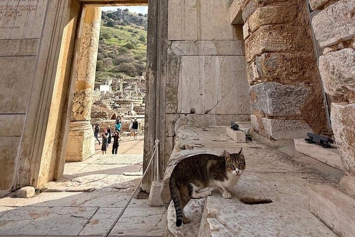 Istanbul to Ephesus: Full-Day Ruins and House of the Virgin Mary Tour photo 1