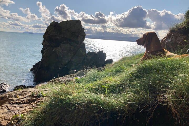 Howth Safari Hiking Tour: South-Facing Cliffs, Hidden Beaches & Baily Lighthouse photo 3