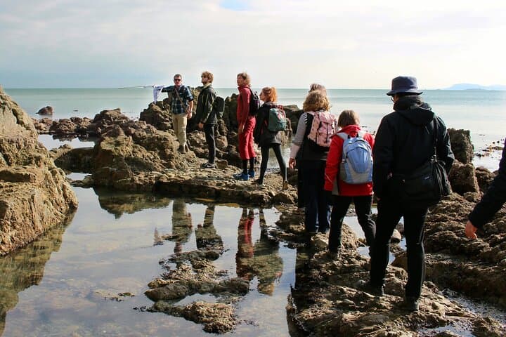Howth Safari Hiking Tour: South-Facing Cliffs, Hidden Beaches & Baily Lighthouse