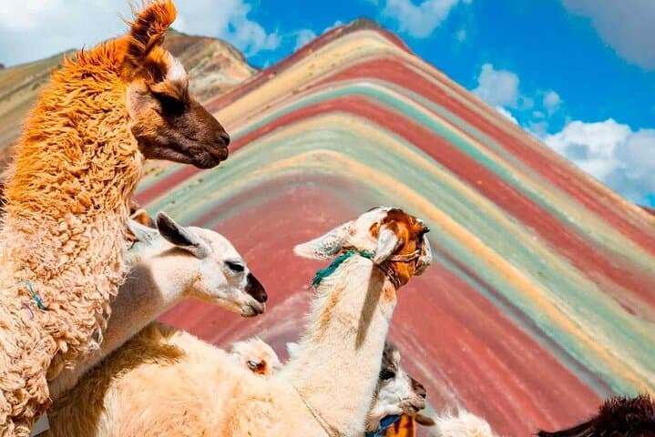 Rainbow Mountain (Vinicunca) Full-Day Trek from Cusco with Buffet Lunch