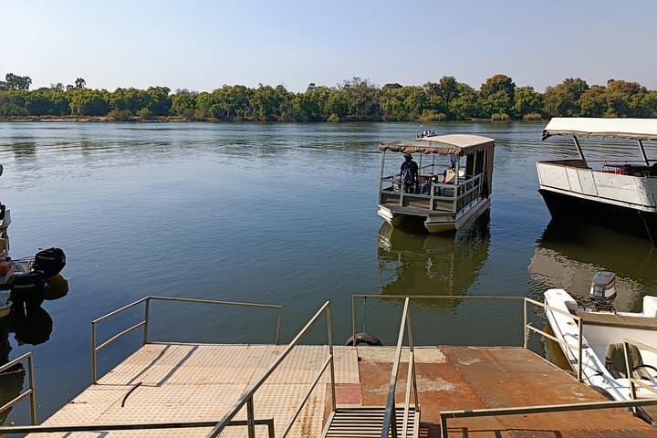 Zambezi River Birdwatching Safari from Victoria Falls — Private Sunset Wildlife Cruise photo 4