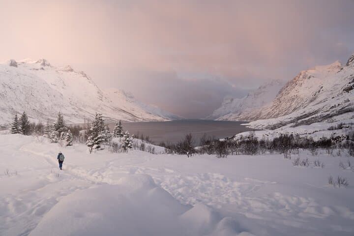 Arctic Fjord Roadtrip from Tromsø: Scenic Kvaløya Drive with Picnic photo 2