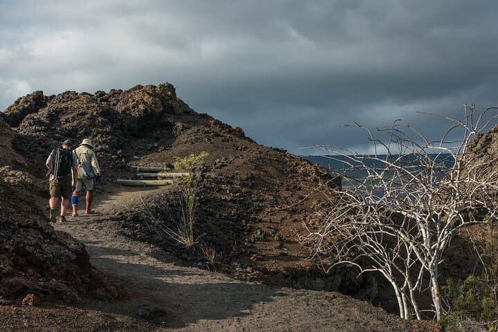 Andes to Equator: Machu Picchu, Amazon & Galápagos — 12-Day Active Expedition photo 4
