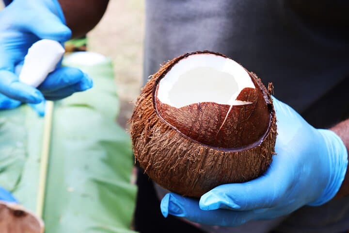 Soufriere Farm-to-Table Experience: Pitons, Cocoa Tea & Creole Lunch photo 2