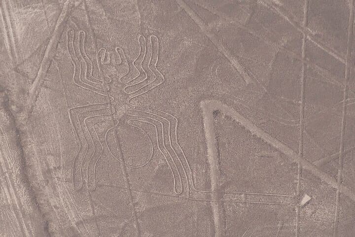 Nazca Lines Day Trip from Lima: Cessna Flyover, Huacachina Oasis & Desert Transfer photo 3