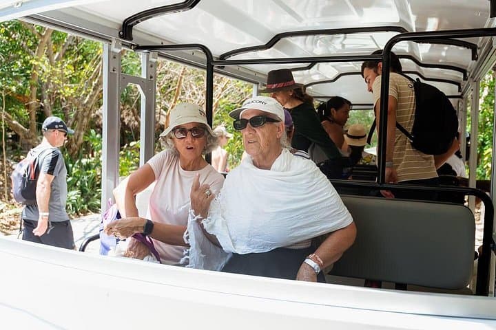 Private Tulum Ruins, Jaguar Park & Akumal Turtle Snorkel Tour from Playa del Carmen photo 3