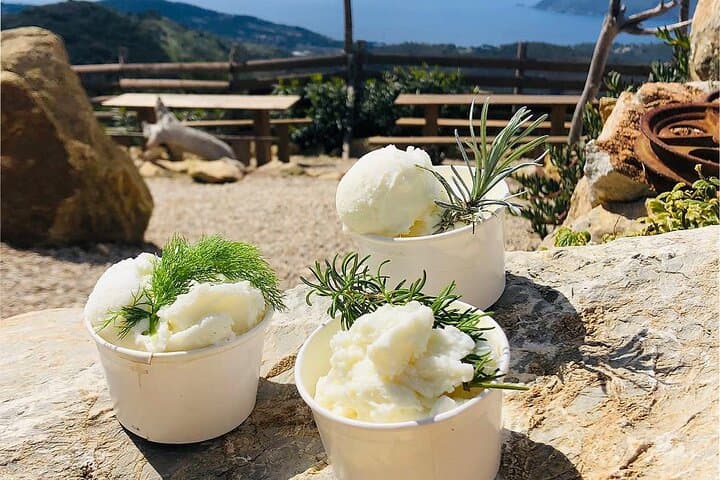 E-Bike to Elba Farm: Goat Ice Cream & Panoramic Views