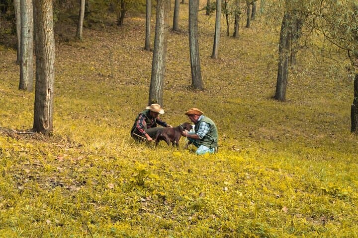 Truffle Hunt at Tenuta Ronzano: Search for the Alba White Truffle photo 2