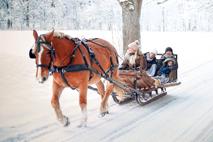 Metsapiiga Talu Private Horse-Drawn Sleigh Adventures — Winter Sleigh Ride Near Tartu