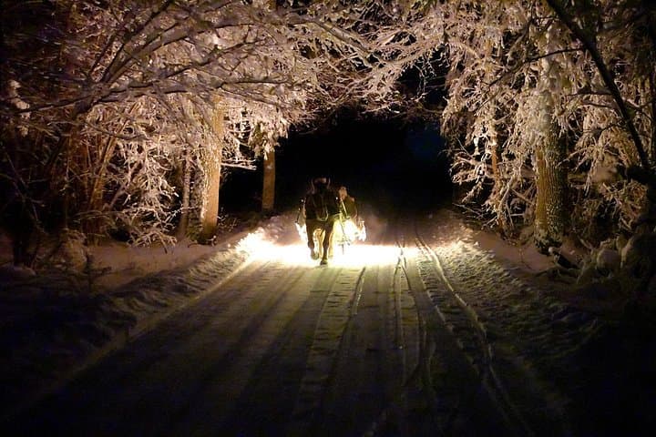 Metsapiiga Talu Private Horse-Drawn Sleigh Adventures — Winter Sleigh Ride Near Tartu photo 4