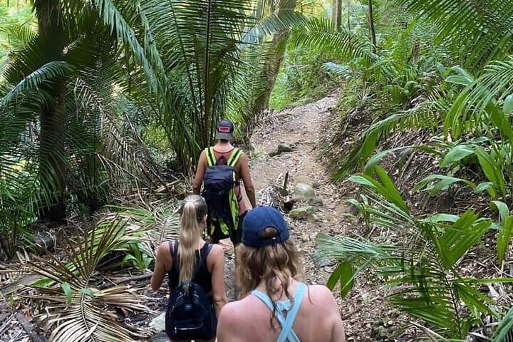 Ecocultural Jungle Hike and Secret Beach in Sayulita