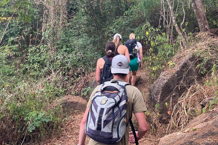 Ecocultural Jungle Hike and Secret Beach in Sayulita photo 2