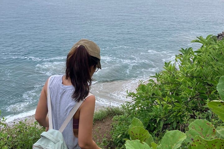 Ecocultural Jungle Hike and Secret Beach in Sayulita photo 6