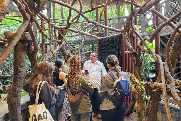 La Paz Waterfall Gardens: Full-Day Rainforest & Wildlife Tour from San José