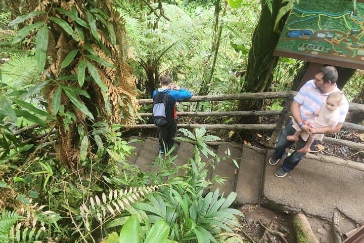 La Paz Waterfall Gardens: Full-Day Rainforest & Wildlife Tour from San José photo 4