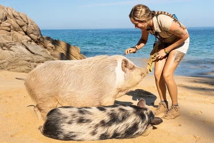 Playa Las Caletas Day Trip: Snorkel, Kayak & Adventure Park from Puerto Vallarta photo 3