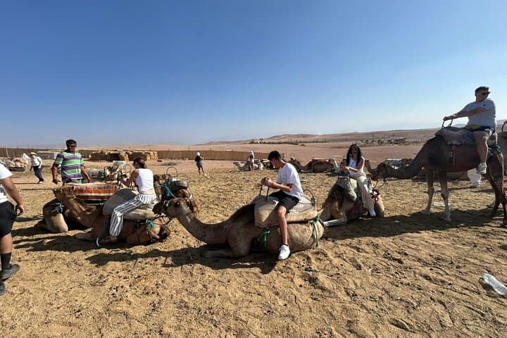 Sunset Quad and Dromedary Adventure in Agafay Desert from Marrakech photo 3