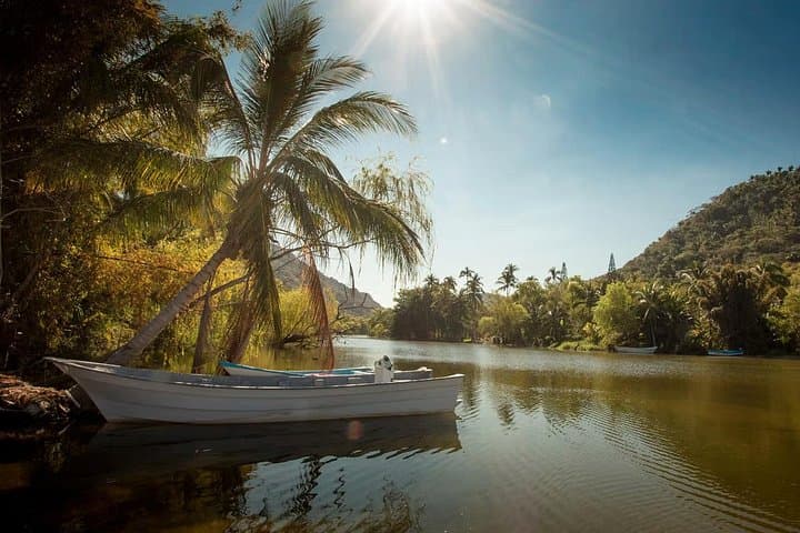 Yelapa and Majahuitas: Snorkel the Emerald Coves and Hike to a Waterfall photo 4
