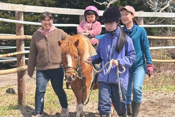 Harmony with Horses: Gentle Dosanko Interaction and Arena Ride in Nakashibetsu