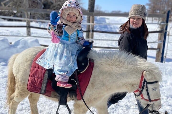 Harmony with Horses: Gentle Dosanko Interaction and Arena Ride in Nakashibetsu photo 4