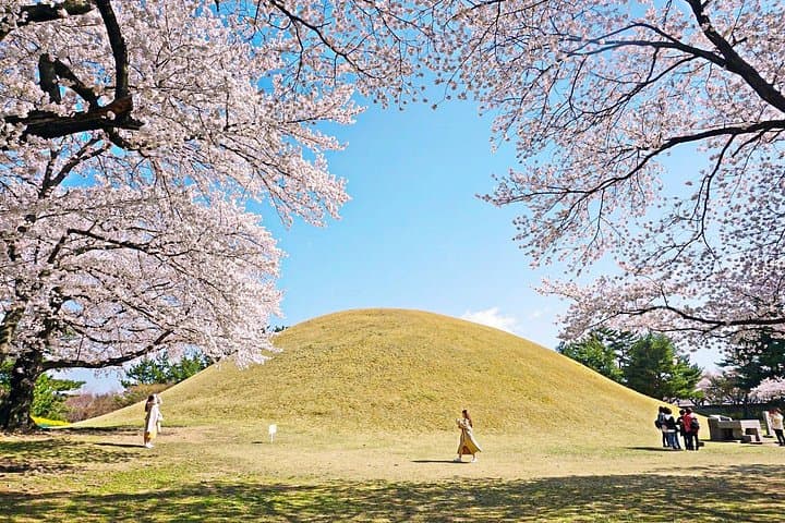 Gyeongju Cherry Blossom Day Tour from Busan — Best Spring Spots, History & Tips photo 3