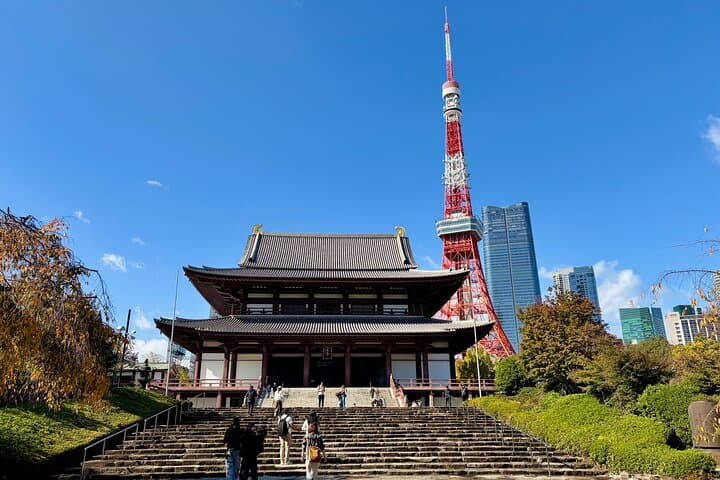 Tokyo Private Car Tour: 5-Hour Custom Sightseeing with Local Guide