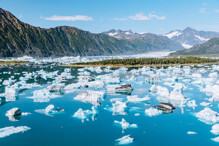 Seward Wildlife Explorer: 60-Minute Helicopter Flightseeing Over Kenai Fjords