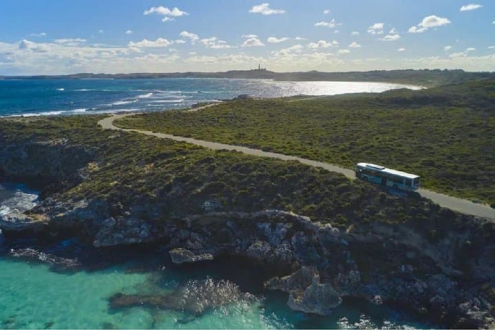 Rottnest Island Grand Tour: Train Ride, Quokkas, Lighthouse & Lunch photo 4