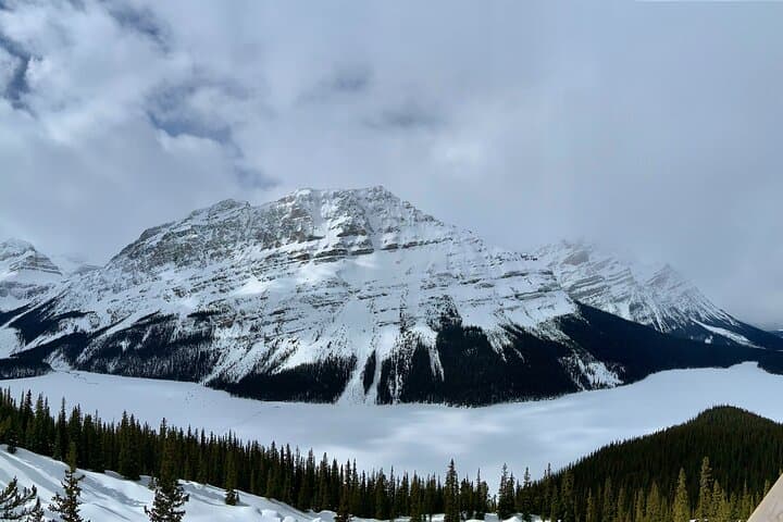 5-Day Rockies Winter Tour from Calgary — Banff, Lake Louise & Drumheller photo 5