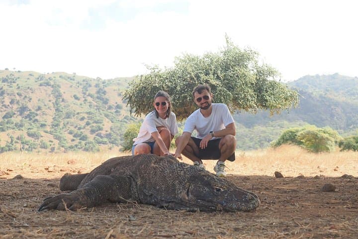 One-Day Speedboat Adventure to Komodo National Park: Padar, Pink Beach & Mantas photo 3