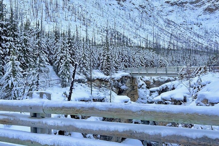 3-Day Banff Adventure: Johnston Canyon, Lake Louise & Banff Gondola photo 4
