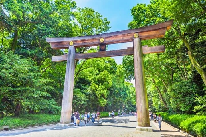 Private Tokyo 6-Hour: Meiji Jingu, Omotesando & Shibuya