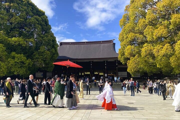 Private Tokyo 6-Hour: Meiji Jingu, Omotesando & Shibuya photo 3