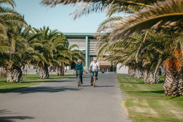 Coast to Country Winery Cycle: 20km Napier Wine & Coastal E‑Bike Tour