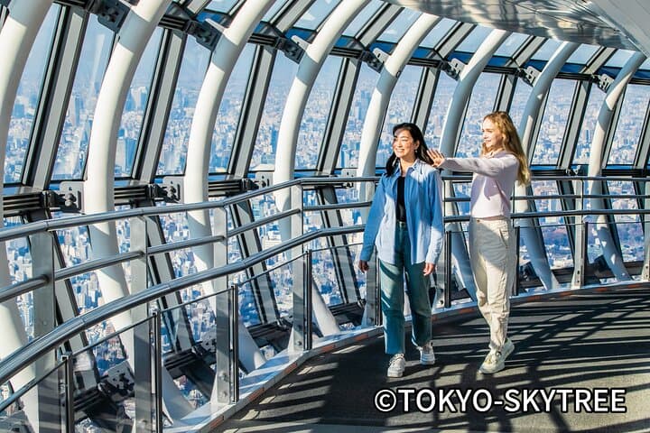 Private 10-Hour Tokyo Tour: Imperial Palace, Skytree & Akihabara photo 5