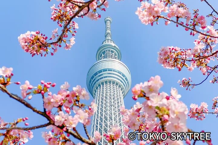Private 10-Hour Tokyo Tour: Imperial Palace, Skytree & Akihabara