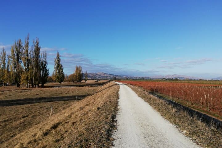 Coast to Country Winery Cycle: 20km Napier Wine & Coastal E‑Bike Tour photo 6