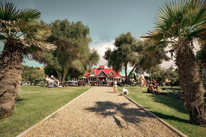 Coast to Country Winery Cycle: 20km Napier Wine & Coastal E‑Bike Tour photo 2