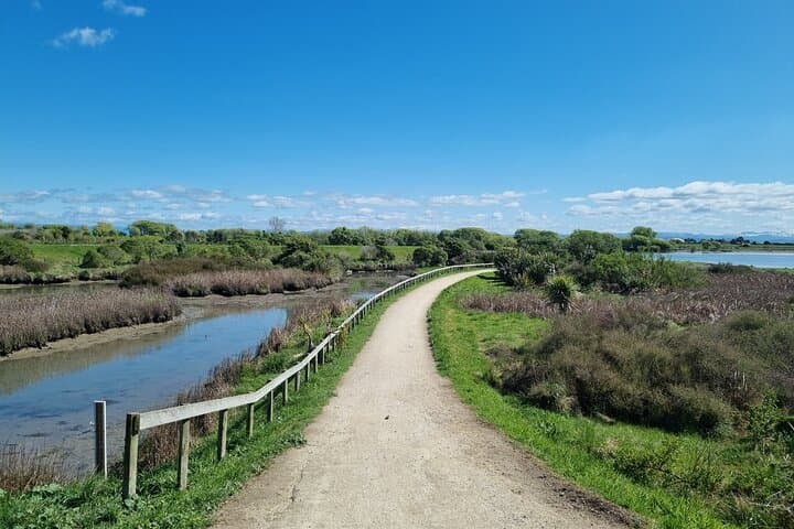 Coast to Country Winery Cycle: 20km Napier Wine & Coastal E‑Bike Tour photo 3