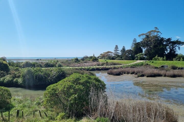 Coast to Country Winery Cycle: 20km Napier Wine & Coastal E‑Bike Tour photo 4