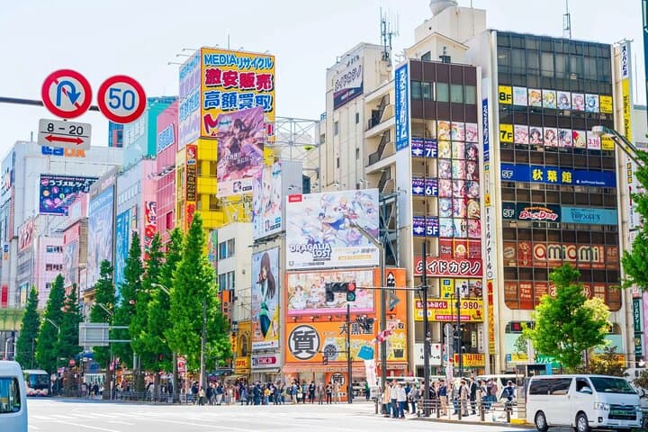 Private 10-Hour Tokyo Tour: Imperial Palace, Skytree & Akihabara photo 4