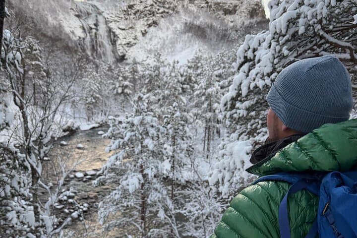 Valnesfossen and Saltstraumen Snowshoe Tour from Bodø photo 2